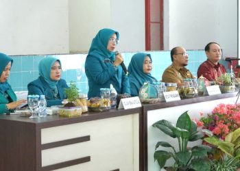 Sekdakab Asahan Buka Rakornis TP PKK