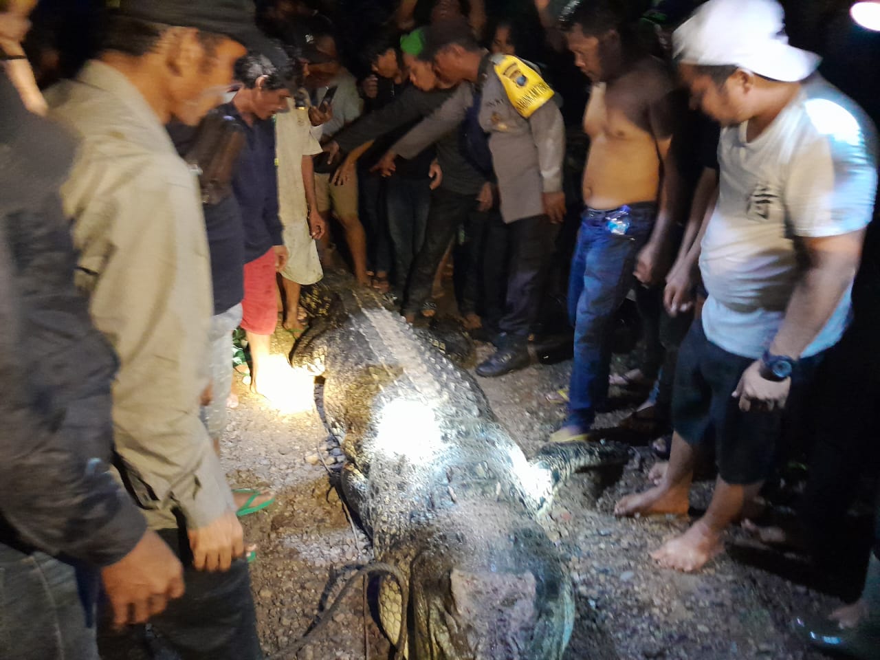 Edi Pangabean Coba Selamatkan Istrinya dari Diterkam Buaya
