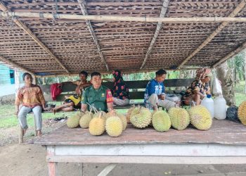 Pedagang Buah di Tapteng Diimbau Jaga Kebersihan