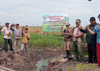 Petani: Halo Bupati Asahan, Tolong Perhatikan Nasib Kami di Sei Kepayang