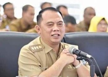 Bupati Labuhanbatu H Erik Adtrada Ritonga. 