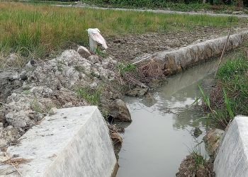 Camat: Proyek Irigasi di Desa Panca Arga Asahan Asal Jadi