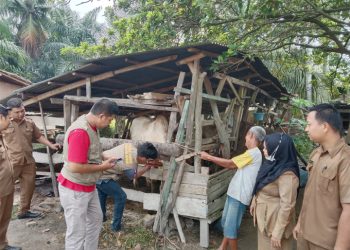 Pemkab Asahan Lakukan Pemeriksaan Kesehatan Hewan Qurban