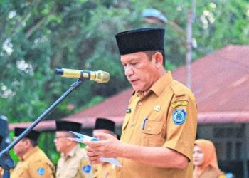 Plt Kepala Dinas Lingkungan Hidup Labuhanbatu, Ir Syafrin. 