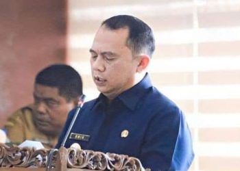 Bupati Labuhanbatu H Erik Adtrada Ritonga MKM. 