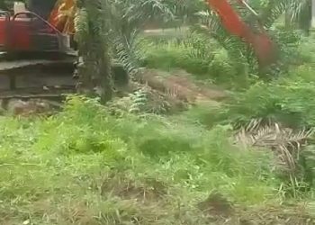 Warga Curiga PT PMJ di Teluk Dalam Asahan Tak Miliki HGU