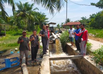 PT IPS Bantu Masyarakat Desa Perbangunan atasi Kekeringan Persawahan