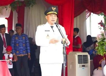 Bupati Labuhanbatu H Erik Adtrada Ritonga