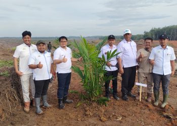 Manager PTPN III Kebun Ambalutu Mulai Lakukan Penanaman Perdana Ulang Kelapa Sawit di AFD 2