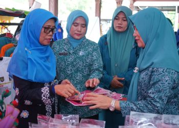 Lomba PAAR, Wakil Bupati Asahan Terima Kunjungan Tim Monitoring PKK Provinsi