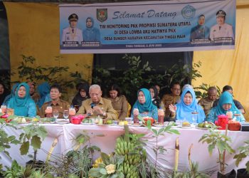 Lomba AKU HATINYA PKK, Tim Monitoring Provsu Kunjungi Desa Sumber Harapan Asahan