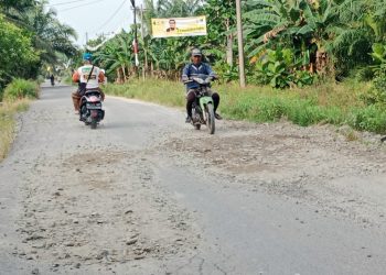 Kerap Dilalui Dump Truck Muatan 25 ton, Jalan di Desa Panca Arga Memprihatinkan