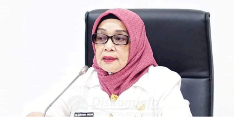 Wakil Bupati Labuhanbatu Hj Ellya Rosa Siregar.