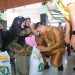 Bupati Labura, Hendriyanto Sitorus, menyerahkan bantuan pangan cadangan pangan pemerintah.