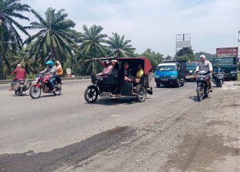 Tolong Perbaiki Jalan di di Sidomukti Asahan