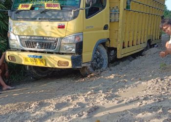 Pak Bupati Asahan, Lihat Jalan Kami yang Indah di Desa Sukajadi 