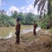Camat Rahuning Asahan dan Tim BKSDA Pantau Sungai Sakur untuk Pancing Biaya yang Hebohkan Warga