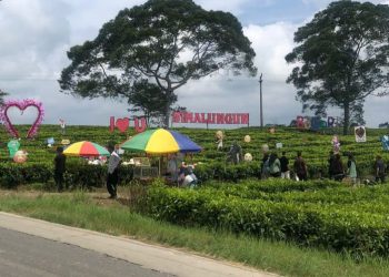 Pesona Wisata Kebun Teh Sidamanik, Murah Meriah Cocok Untuk Semua Golongan