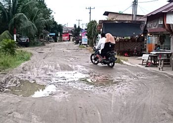 Inilah Jalan Kami, Tak Pernah Diperbaiki Bupati Asahan