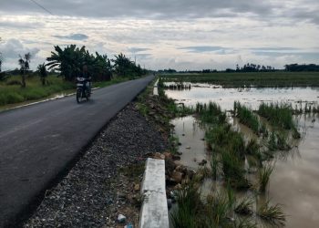 Proyek Rp8 M Lebih di Rawang Panca Arga Diduga Dikerjakan Tak Sesuai Ketentuan