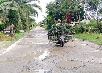Anggota DPRD Asahan Dapil 7 Enggan Komentari Jalan Rusak, Warga Meranti Merasa Tertipu Janji Manis