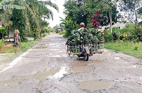 Warga Kecamatan Meranti harus melintasi jalan rusak untuk mengantarkan hasil panennya. foto: edi surya