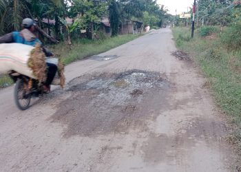 Warga Kecewa, Jalan Desa Panca Arga Kembali Rusak