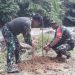 Dandim 0211/TT Ajak Warga Tanam Pohon Sengon
