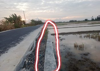 Waduh Baru Selesai, Proyek TPT di Desa Panca Arga Asahan Kok Sudah Mau Roboh
