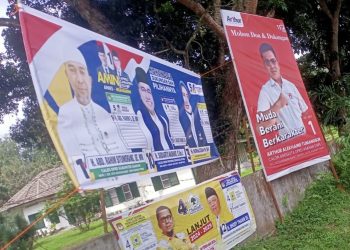 Halo Bawaslu Asahan, Tolong Tertibkan APK Caleg yang Dipaku di Pohon