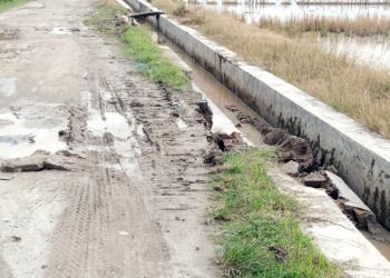 Ekskavator Diduga Milik Ali Cacing Rusak Drainase, Warga Desa Panca Arga Minta Segera Diperbaiki