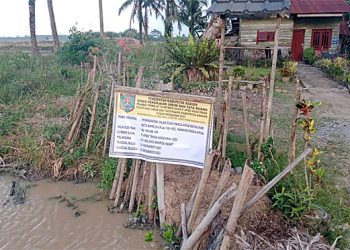 Setelah Diberitakan, Ini Pelaksana Proyek di Desa Panca Arga