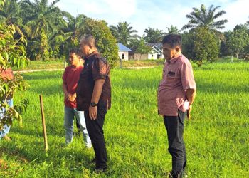 Camat Dampingi Wabup Asahan Sambangi Petani Durian di Meranti