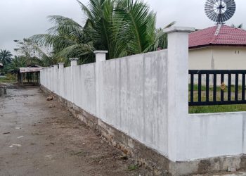 Pembangunan Tembok Pustu di Desa Gajah Diduga Asal Jadi