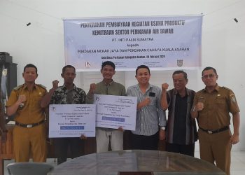 Budidaya Ikan Air Tawar Berpotensi Dikembangkan di Asahan