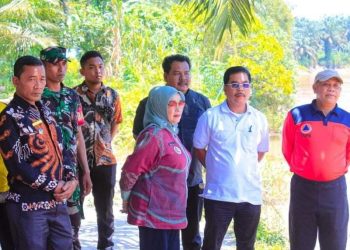 Plt Bupati Labuhanbatu Tinjau Tanah Longsor di Desa Tanjung Harapan
