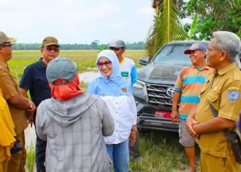 Pemkab Labuhanbatu Akan Bangun Irigasi Lahan Pertanian di Kecamatan Panai Hulu