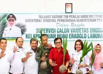 Pemkab Labuhanbatu Dukung Pengembangan Tanaman Kelapa Genjah Hijau