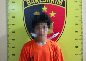 Pencuri Hp Diringkus Personel Polsek Setia Janji 