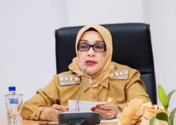 Plt Bupati Labuhanbatu Buka Kegiatan TIPD
