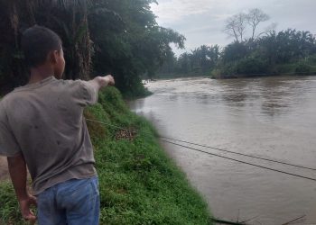 Mayat Bayi Siapa Ini Mengapung di Aliran Sungai Sei Silau Asahan