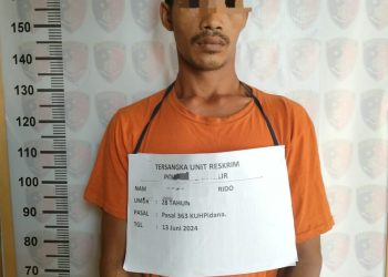 Tersangka Pencurian di Labuhanbatu Diringkus Polisi