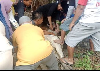 Musholla Al – Hidayah Sembelih 2 Ekor Lembu 1 Kambing