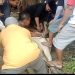 Musholla Al – Hidayah Sembelih 2 Ekor Lembu 1 Kambing