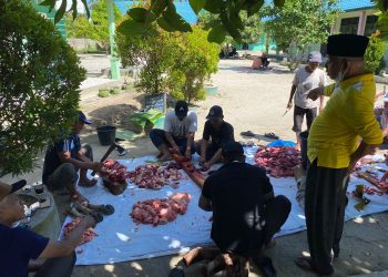 Perguruan Al Wasliyah Prapat Janji Sembelih Lembu Qurban