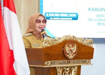 Plt Bupati Labuhanbatu Hj Ellya Rosa Siregar.