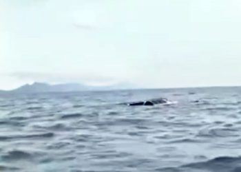 Kapal Wisata Tenggelam di Tapteng, Tiga Wisatawan Asal Asahan Meninggal Dunia