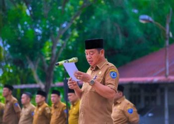 Staff Ahli Bupati Labuhanbatu H. Turing Ritonga.