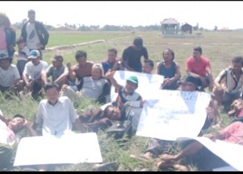 Musim Kemarau, Ribuan Hektar Padi di Asahan Terancam Gagal Panen