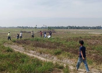 Petani di Kecamatan Rawang Panca Arga Terancam Gagal Tanam padi